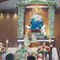 Grand Rosary in Honour of the Blessed Virgin Mary – 31 May 2026